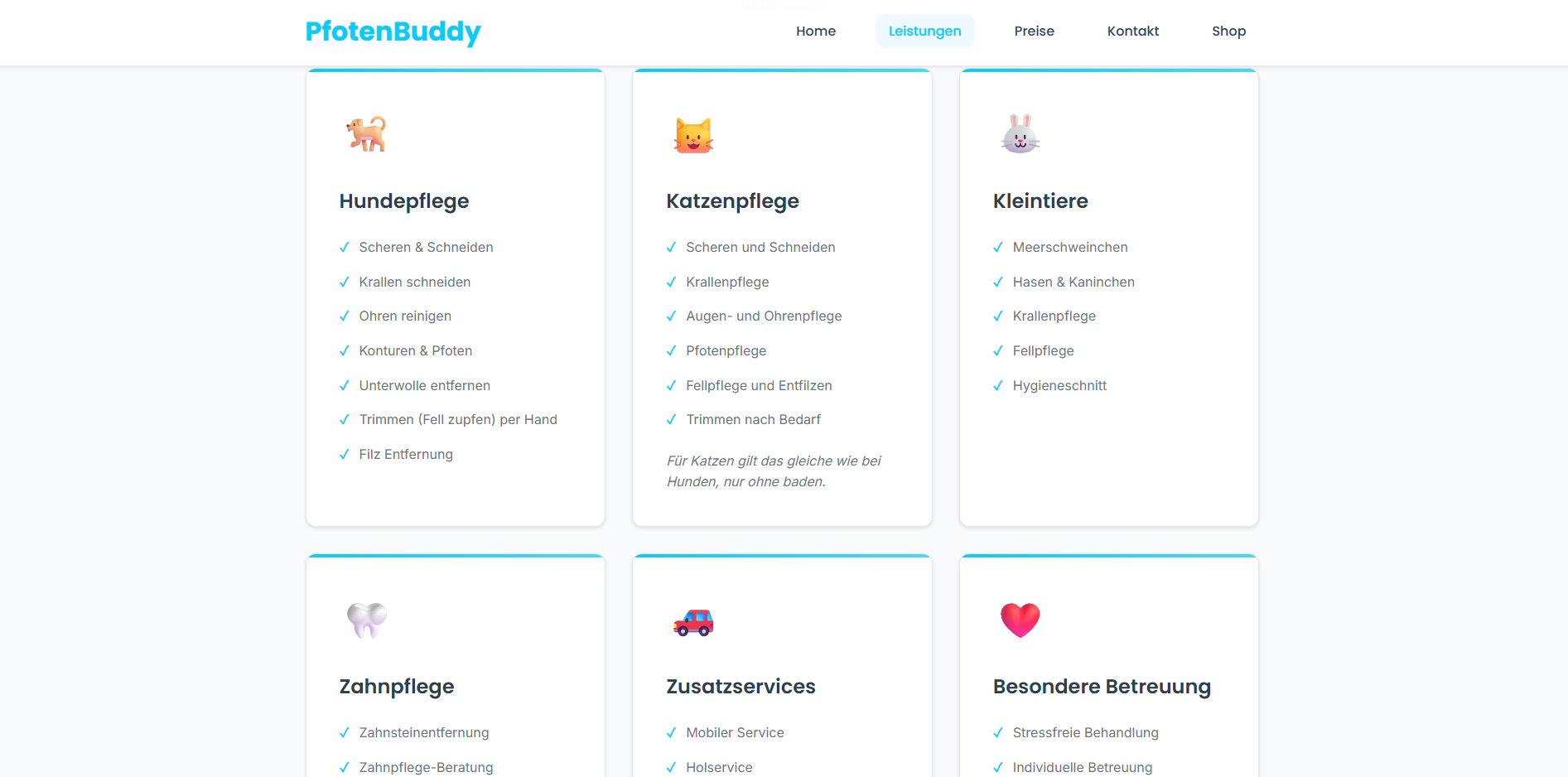 Optimierte schnelle Website